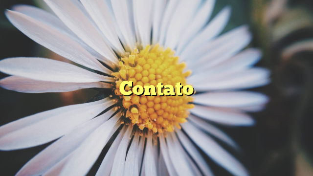 Contato