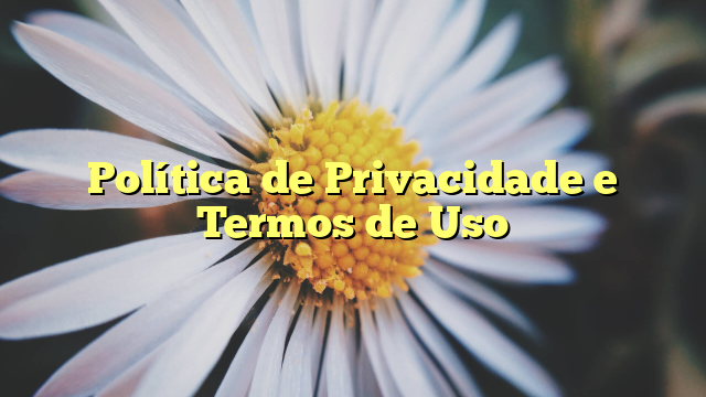 Política de Privacidade e Termos de Uso